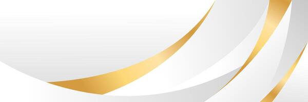 Modern white and gray luxury curve background with gold accents vector
