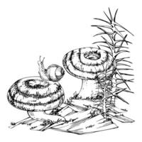 Lactarius milk-cap russula striped mushroom fungus, snail on cap, horsetail plant on bark with moss lichen growth. Illustration hand drawn in ink. Autumn forest floor habitat natural scene vector