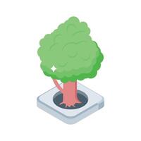 A captivating isometric icon of tall green tree vector