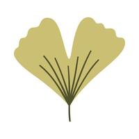 Ginkgo leaf in light green color. One element isolated on white. Spring or summer background, illustration vector