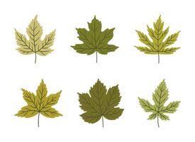 Set of various spring maple leaves in green colors. Summer background, leaf icons, illustration vector