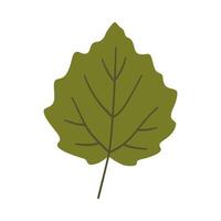 Aspen leaf in dark green color. One element isolated on white. Spring or summer background, illustration vector