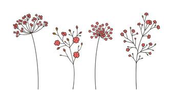 Set of red wildflower inflorescences in black outline on white background. Hand drawn flowers and leaves. Wild plants and botanical elements for design projects, illustration vector