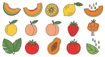 A Refreshing Assortment of Seasonal Fruits A Colorful and Healthy Visual Delight vector