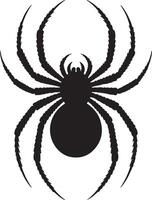 Black Silhouette of a Spider with Eight Legs and Detailed Leg Segmentation Each Leg Shows Individual Bristles or Spines The Spider Body is Round vector