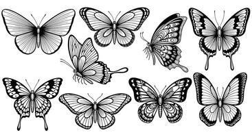 A Collection of Butterfly Drawings with Varying Poses and Wing Patterns Displayed in Black and White vector