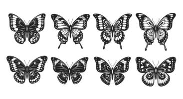 A Collection of Eight Butterfly Illustrations Depicting Various Butterfly Wing Patterns and Designs vector