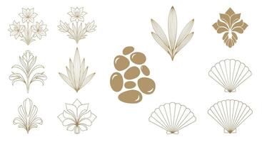 Golden Embellishments of Floral Shells And Geometric Patterns For Artistic Design Projects vector