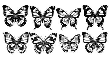 A Collection of Butterfly Illustrations Depicting Insect Diversity Nature in a Grouping vector