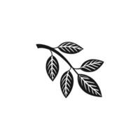 A black and white illustration of a branch with leaves vector