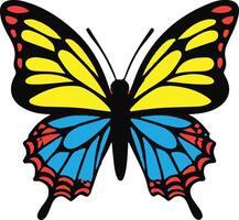 Vibrant Colorful Butterfly Design vector
