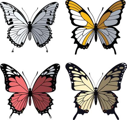 4 Vibrant Colorful Butterfly Design