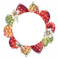 Raspberry berries flowers wreath in water splash, dew drops hand drawn in watercolor. Ripe garden dewberry cloudberry mulberry loganberry. Isolated circle frame. Fresh grocery, preserves recipe book vector