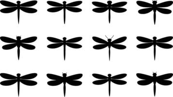 Dragonfly silhouette seamless pattern elegant black insect designs on white background vector