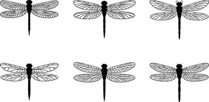 Dragonfly silhouettes in a repeating pattern on a white background insect design vector