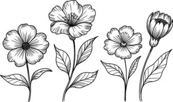 Elegant black and white flower line art illustration for decorative design vector