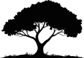 Silhouette illustration of a large deciduous tree with grass on ground vector