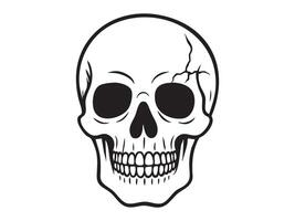 Black outline of human skull with crack isolated on white background, graphic illustration. concept of anatomy, skull art, halloween theme, design element, death symbol vector