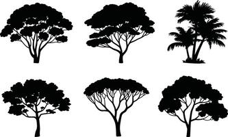 Silhouette tree collection variety of tree types forest evergreen trees vector