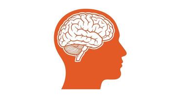 The Fascinating World of Cognitive Science and the Mysteries of the Human Mind vector