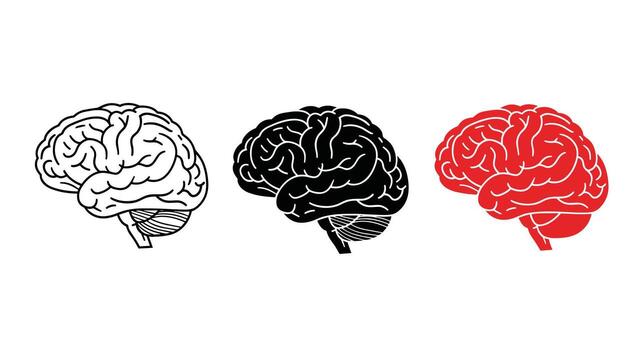 explorador el multifacético cerebro estructura función y cognitivo procesos para comprensión comportamiento vector