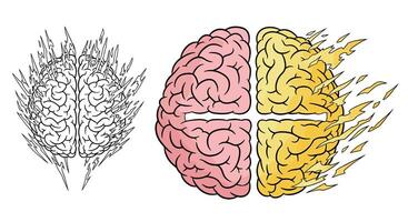 Understanding Brain Health How to Improve Cognitive Function and Preventing Neurodegenerative Disorders vector