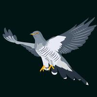illustration of a cuckoo in flight on a dark background. vector