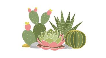 Exploring the Diverse World of Succulents A Guide to Growing and Caring For Them vector