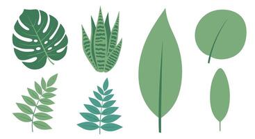 Exploring the Beauty of Natural Green Leaves A Collection of Diverse Foliage vector