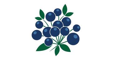 A Collection of Dark Blue Berries with Green Leaves a Refreshing Natural Composition vector