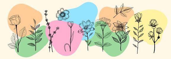 Set of Hand Drawn Floral Line Art Set with Colorful Abstract Background. vector