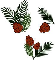 Pine tree branches with pine cones set composition isolated. graphic line ink illustration. For poster, flyer, banner, invitation, social media, party or sale vector