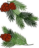 Christmas tree branches with pine cones set composition isolated. graphic line ink illustration. Banner, poster, wrapping paper, sticker, print, modern textile design. vector