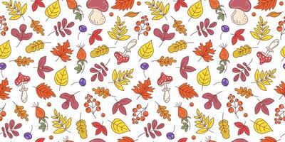 Autumn set of leaves, mushrooms and berries. Pattern seamless. Fly berry, branches doodle, drawings, sketch. Natural botanical repeating background. vector