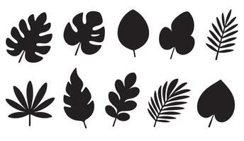 Set of tropical leaf silhouettes in black. Includes various shapes like monstera, palm and decorative jungle foliage. Ideal for logos, icons, and minimal designs vector