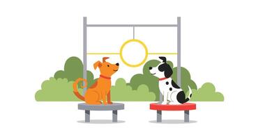 Two dogs are sitting on a bench looking at a mirror vector