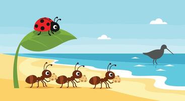 Ladybugs and birds on the beach vector