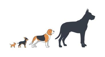 A dog and a dog are standing next to each other vector