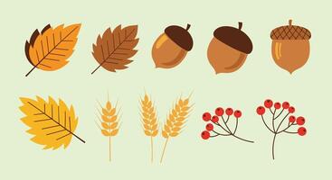 Autumn leaves and acorns set vector