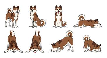 A set of different dog poses, including a dog with a tail vector