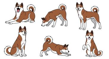 A set of different dog poses, including a brown and white dog vector