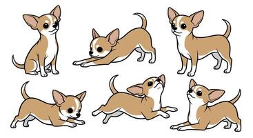 The Charming World of Chihuahuas Exploring Their Breed History Characteristics and Care Tips vector
