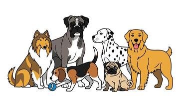 The Wonderful World of Dogs A Comprehensive Look at Different Breeds and Their Traits vector