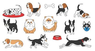 The Ultimate Guide to Dog Breeds Understanding Characteristics Temperament and Health of Dogs vector