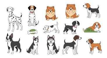 A Comprehensive Guide to Identifying Popular Dog Breeds and Their Unique Characteristics vector