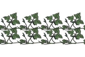 Botanical floral horizontal border with grapevine isolated on white background. Hand drawn vine plant with long stem and green leaves illustration. Graphic design element for Birthday Wedding vector