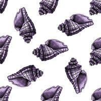 Hand drawn vintage seamless pattern of purple sea shells in engraving sketch style, marine ocean summer design vector
