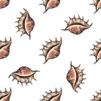 Hand drawn vintage seamless pattern of spiny seashells in pastel colors for summer beach fabric and design vector