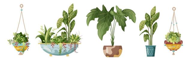 Houseplant and macrame plant growing in pots. Set of handmade home decorations macrame plants isolated on white background. vector
