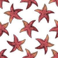 Hand drawn seamless pattern of red starfish in engraving sketch style for nautical summer surface design vector